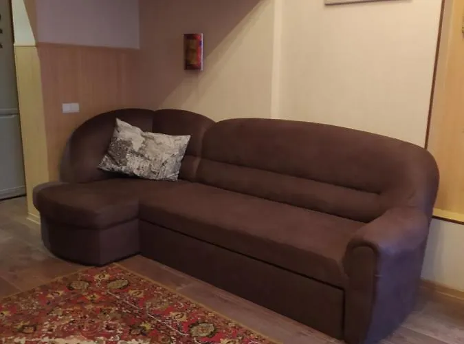 Na Shevchenka 3 公寓